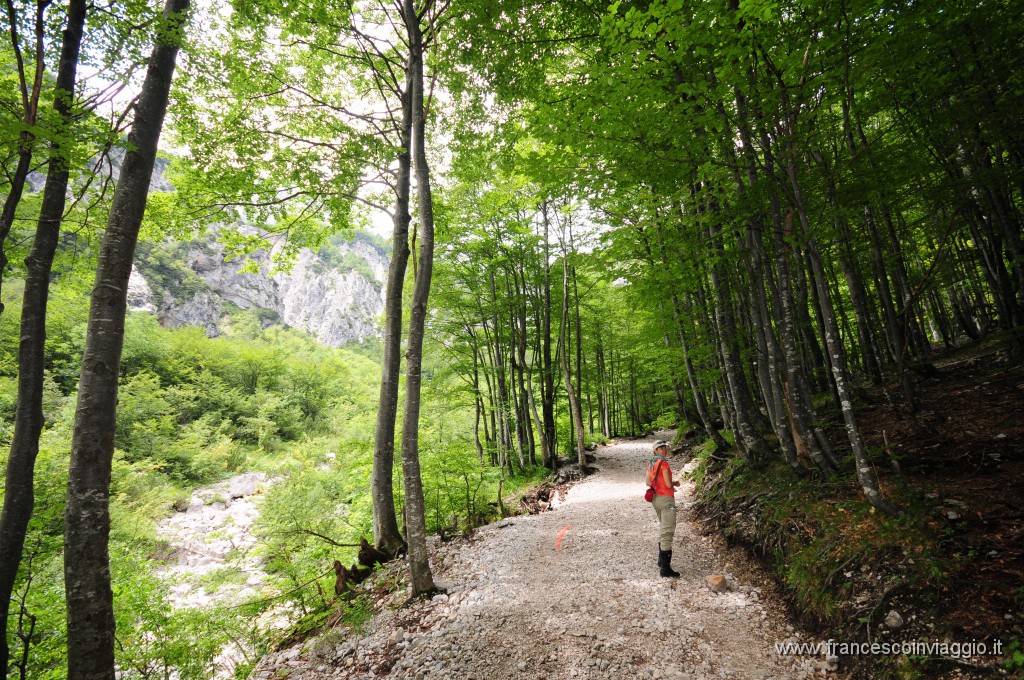 Parco Ambientale  Logarska Dolina - Cascate di Rinka 2011.08.01_3.JPG